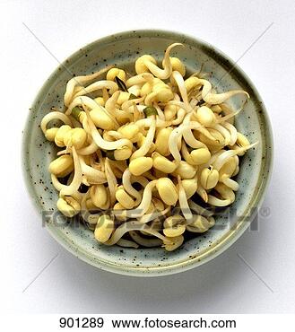 Hazır Fotoğraf - top,  fasulye, 
 brüksel lâhanasi. 
fotosearch - foto, 
resim, görüntü 
ve foto klipart 
ara