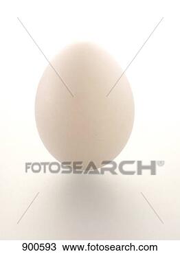 Hazır Fotoğraf - bekâr,  beyaz, 
 yumurta. fotosearch 
- foto, resim, 
görüntü ve foto 
klipart ara