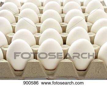 Hazır Fotoğraf - bir hayli,  beyaz, 
 yumurtalar. fotosearch 
- foto, resim, 
görüntü ve foto 
klipart ara