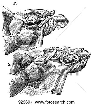 Hazır İlüstrasyonlar - açiş,  istiridyeler, 
 (illustration). 
fotosearch - klipart 
İlüstrasyon, çizimler 
ve görüntüler 
ara