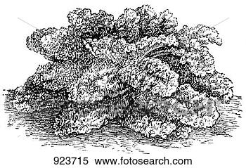 Hazır İlüstrasyonlar - bukleli,  kale, 
 (illustration). 
fotosearch - klipart 
İlüstrasyon, çizimler 
ve görüntüler 
ara