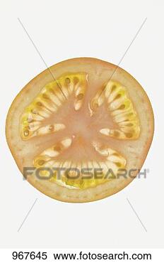 Stock Image - a slice of tomato 
from above. fotosearch 
- search stock 
photos, pictures, 
images, and photo 
clipart