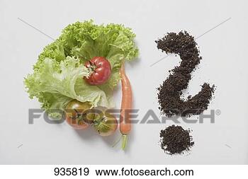 Stock Photograph - lettuce leaves, 
tomatoes, carrot 
& soil forming 
question mark. 
fotosearch - search 
stock photos, 
pictures, images, 
and photo clipart