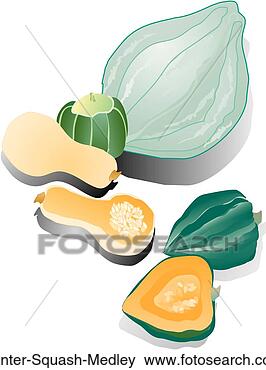 Stock Illustration - winter squash 
medley. fotosearch 
- search clipart, 
illustration, 
drawings and vector 
eps graphics images