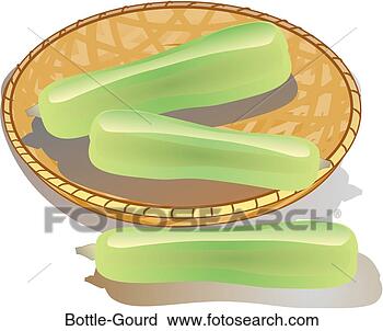 Clipart - bottle gourd. 
fotosearch - search 
clipart, illustration, 
drawings and vector 
eps graphics images