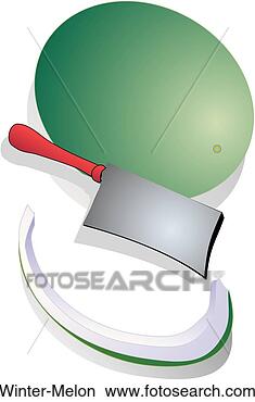 Stock Illustration - winter melon. 
fotosearch - search 
clipart, illustration, 
drawings and vector 
eps graphics images
