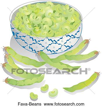 Stock Illustration - fava beans. fotosearch 
- search clipart, 
illustration, 
drawings and vector 
eps graphics images