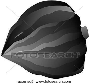 Stock Illustration - acorn squash-one 
b&w. fotosearch 
- search clipart, 
illustration, 
drawings and vector 
eps graphics images