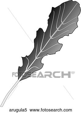 Stock Illustration - arugula-one b&w. 
fotosearch - search 
clipart, illustration, 
drawings and vector 
eps graphics images