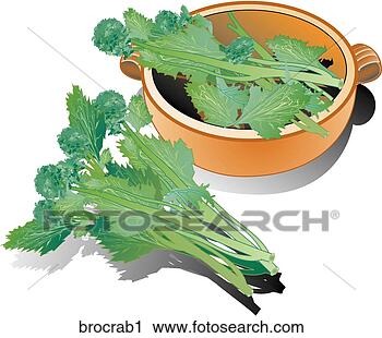 Clipart - broccoli rabe-composition. 
fotosearch - search 
clipart, illustration, 
drawings and vector 
eps graphics images