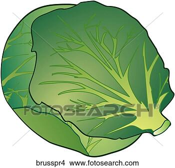 Stock Illustration - brussel sprouts-one. 
fotosearch - search 
clipart, illustration, 
drawings and vector 
eps graphics images