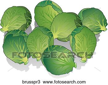 Drawing - brussel sprouts-shadows. 
fotosearch - search 
clipart, illustration, 
drawings and vector 
eps graphics images
