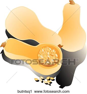 Clipart - butternut squash-composition. 
fotosearch - search 
clipart, illustration, 
drawings and vector 
eps graphics images