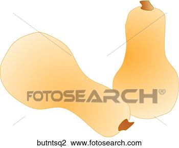 Clip Art - butternut squash. 
fotosearch - search 
clipart, illustration, 
drawings and vector 
eps graphics images