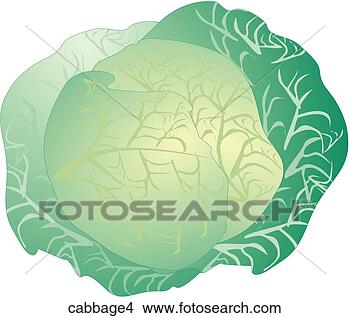 Stock Illustration - cabbage-one. fotosearch 
- search clipart, 
illustration, 
drawings and vector 
eps graphics images