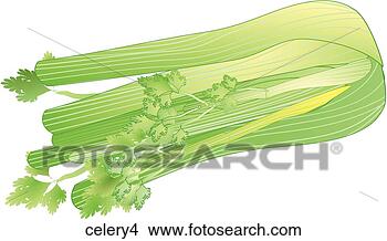 Stock Illustration - celery-one. fotosearch 
- search clipart, 
illustration, 
drawings and vector 
eps graphics images