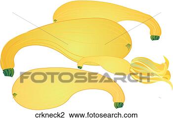 Clip Art - crookneck squash. 
fotosearch - search 
clipart, illustration, 
drawings and vector 
eps graphics images