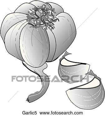 Stock Illustration - garlic-one b&w. 
fotosearch - search 
clipart, illustration, 
drawings and vector 
eps graphics images