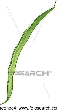 Stock Illustration - green beans-one. 
fotosearch - search 
clipart, illustration, 
drawings and vector 
eps graphics images