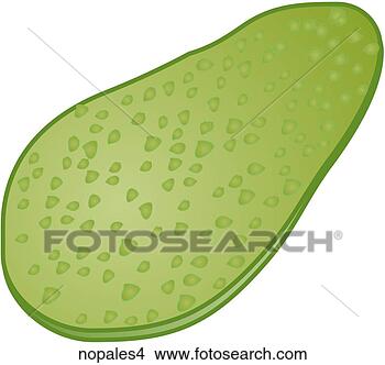 Stock Illustration - nopales-one. fotosearch 
- search clipart, 
illustration, 
drawings and vector 
eps graphics images