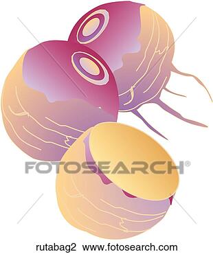 Clip Art - rutabagas. fotosearch 
- search clipart, 
illustration, 
drawings and vector 
eps graphics images
