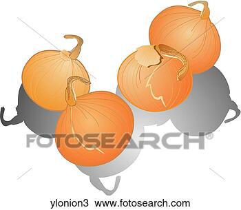 Çizim - sari,  onions-shadows. 
fotosearch - klipart 
İlüstrasyon, çizimler 
ve görüntüler 
ara