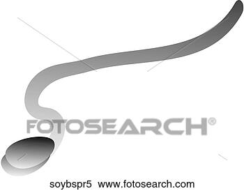 Stock Illustration - soy bean sprouts-one 
b&w. fotosearch 
- search clipart, 
illustration, 
drawings and vector 
eps graphics images