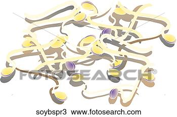 Drawing - soy bean sprouts. 
fotosearch - search 
clipart, illustration, 
drawings and vector 
eps graphics images