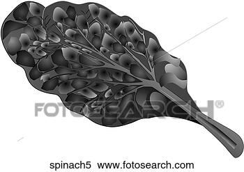Stock Illustration - spinach-one b&w. 
fotosearch - search 
clipart, illustration, 
drawings and vector 
eps graphics images