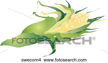 Stock Illustration - sweet corn-one. 
fotosearch - search 
clipart, illustration, 
drawings and vector 
eps graphics images