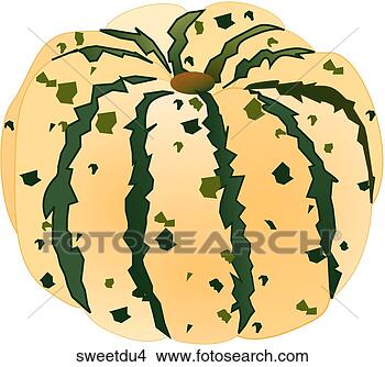 Stock Illustration - sweet dumpling 
squash-one. fotosearch 
- search clipart, 
illustration, 
drawings and vector 
eps graphics images