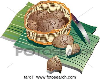 Clipart - taro-composition. 
fotosearch - search 
clipart, illustration, 
drawings and vector 
eps graphics images