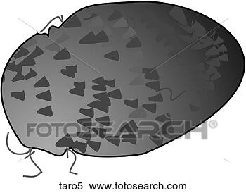 Stock Illustration - taro-one b&w. 
fotosearch - search 
clipart, illustration, 
drawings and vector 
eps graphics images