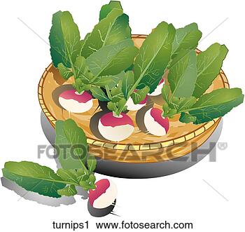 Clipart - turnips-composition. 
fotosearch - search 
clipart, illustration, 
drawings and vector 
eps graphics images