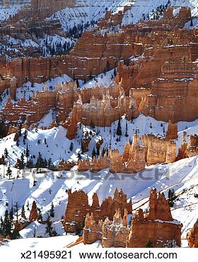 Stock Photography - usa,  utah,  bryce 
canyon national 
park,  morning 
winter light in. 
fotosearch - search 
stock photos, 
pictures, images, 
and photo clipart