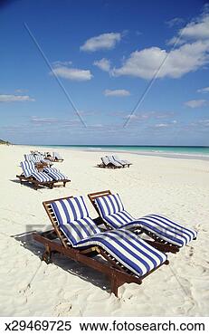 Stock Image - bahamas, harbor 
island, striped 
beach chairs on 
beach. fotosearch 
- search stock 
photos, pictures, 
images, and photo 
clipart