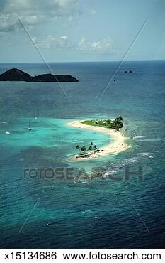 Stock Photo - grenada, small 
island with palm 
trees and beach, 
aerial view. fotosearch 
- search stock 
photos, pictures, 
images, and photo 
clipart
