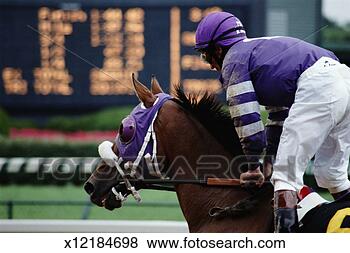 Stock Photo - jockey riding 
thoroughbred race 
horse, side view. 
fotosearch - search 
stock photos, 
pictures, images, 
and photo clipart