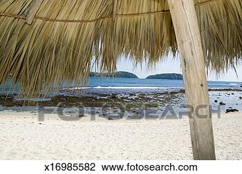 Stock Photo - mexico, ixtapa, 
view of tropical 
beach from under 
palapa. fotosearch 
- search stock 
photos, pictures, 
images, and photo 
clipart