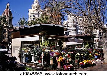 Stock Photo - spain, valencia, 
plaza del ayuntamiento, 
flower stalls 
in plaza. fotosearch 
- search stock 
photos, pictures, 
images, and photo 
clipart