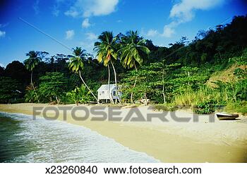 Stock Photography - trinidad and tobago, 
tobago, beach 
bungalow and boat. 
fotosearch - search 
stock photos, 
pictures, images, 
and photo clipart