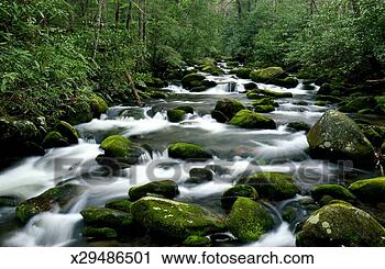 Stock Photography - usa, tennessee, 
great smoky mountains 
np, roaring fork 
river, spring. 
fotosearch - search 
stock photos, 
pictures, images, 
and photo clipart