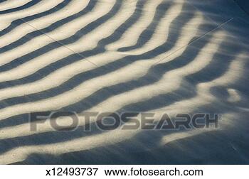 Picture - ripples in sand 
dunes. fotosearch 
- search stock 
photos, pictures, 
images, and photo 
clipart