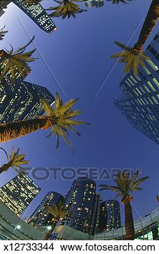 Stock Photo - usa,  california, 
 los angeles, 
 downtown buildings 
through palm. 
fotosearch - search 
stock photos, 
pictures, images, 
and photo clipart