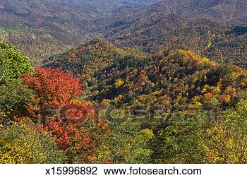 Stock Photo - usa,  north carolina, 
 blue ridge parkway, 
 elevated view 
of valley. fotosearch 
- search stock 
photos, pictures, 
images, and photo 
clipart