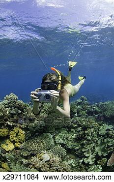 Stock Photo - young woman using 
underwater camera, 
snorkelling on 
coral reef. fotosearch 
- search stock 
photos, pictures, 
images, and photo 
clipart
