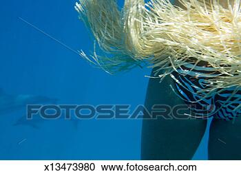 Stock Photography - woman in bikini 
and grass hula 
skirt underwater 
with dolphins, 
 mid. fotosearch 
- search stock 
photos, pictures, 
images, and photo 
clipart