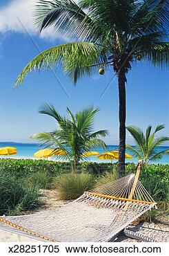 Stock Image - hammock and palm 
trees on beach, 
umbrellas in background. 
fotosearch - search 
stock photos, 
pictures, images, 
and photo clipart