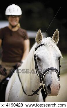 Stock Photo - mature woman on 
arabian horse 
(focus on horse's 
head). fotosearch 
- search stock 
photos, pictures, 
images, and photo 
clipart