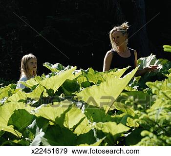 Stock Photograph - mother and daughter 
(9-11) watching 
flying insect. 
fotosearch - search 
stock photos, 
pictures, images, 
and photo clipart